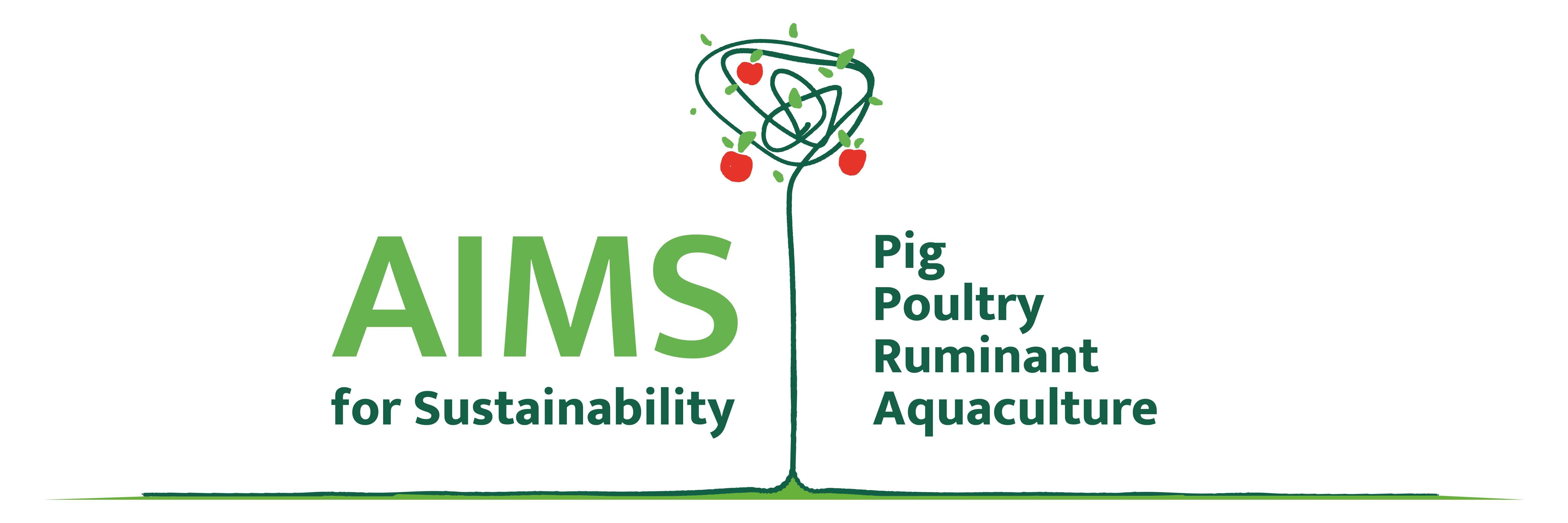 AIMS Logo