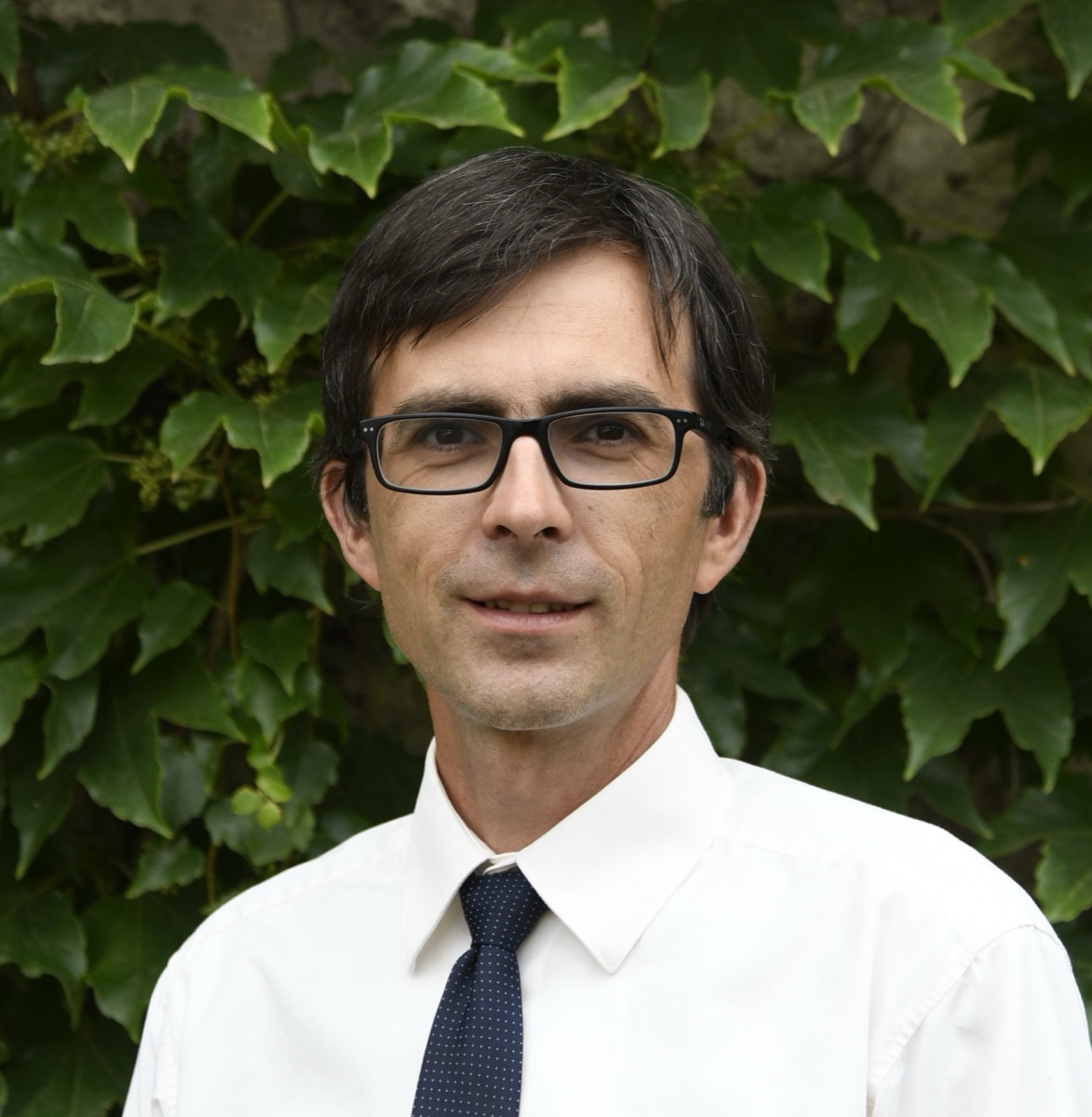 Dr. Nagy Zoltán